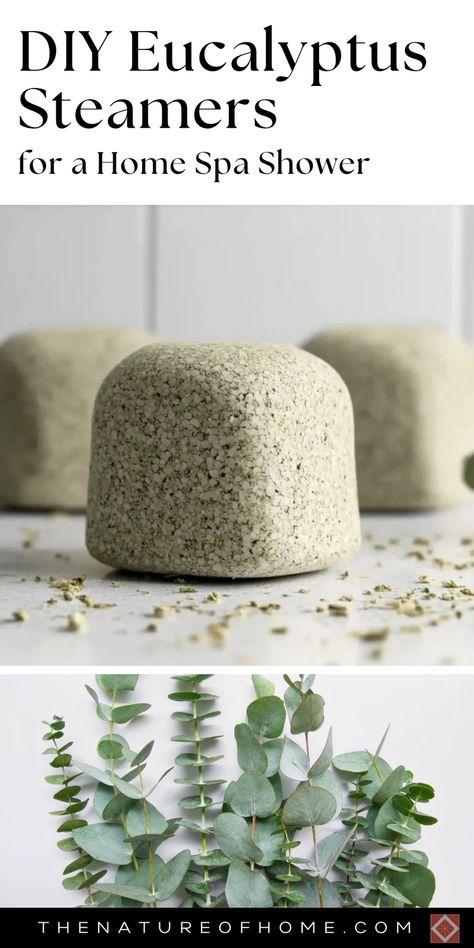 Transform your shower into a home spa with DIY eucalyptus steamers. These easy-to-make steamers release a calming scent that enhances your shower experience. Save this pin for a simple and effective bathroom upgrade! Aromatherapy Shower Steamers, Eculyptus Shower Aesthetic, Diy Eucalyptus Shower Steamers, How To Make Shower Steamers, Plants In Shower Ideas, Eucalyptus Shower Head, Spa Style Bathroom Ideas, Shower Steamers Recipe, Shower Must Haves