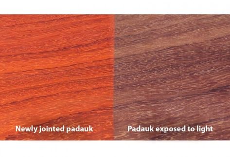 Can I prevent padauk's color from fading? | WOOD Magazine Padauk Wood, Wood Finishing, Wood Supply, Wood Magazine, Red Orange Color, Wood Stone, Stone Sculpture, Carving Tools, Woodworking Techniques