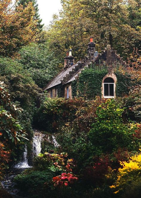 Small cozy cottage surrounded by nature Mansion Homes, Cottage Aesthetic, Fairytale Cottage, Cottage In The Woods, Dream Cottage, Cottage Core Aesthetic, English Cottage, Garden Cottage, English Countryside