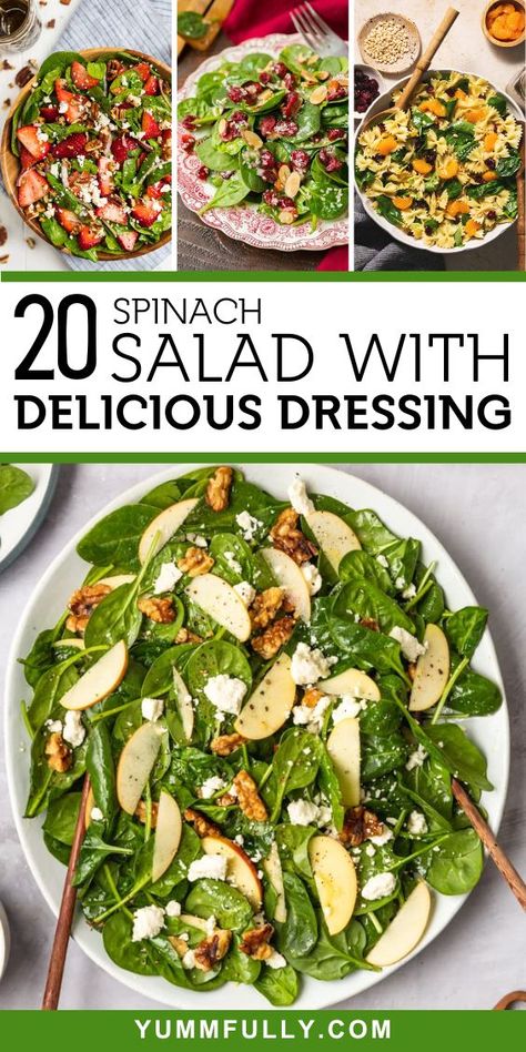 20+ Spinach Salad with delicious Dressing – Yummy and fully Summer Spinach Salad, Salad With Spinach, Salads With Spinach, Fresh Spinach Salad, Best Spinach Salad Recipes, Spinach Salad Ideas, Warm Spinach Salad, Spinach Recipes Salad, Spinach Salads