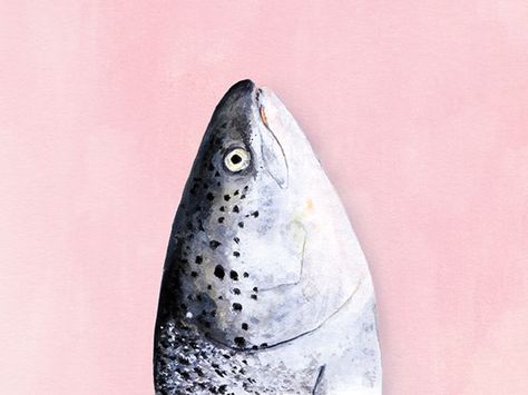 Fish Head Illustration Kelsey Beckett, Cats Reaction, Fish Head, Bare Hands, Food F, Salmon Run, Off Brand, Fish Illustration, Sweet Meat