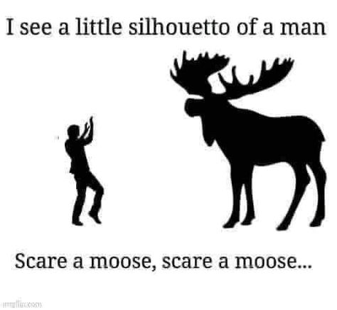 Misheard Lyrics Funny, Lyrics Funny, Funny Moose, Misheard Lyrics, Song Memes, Cartoon Songs, Bad Jokes, Funny Bunnies, Music Humor