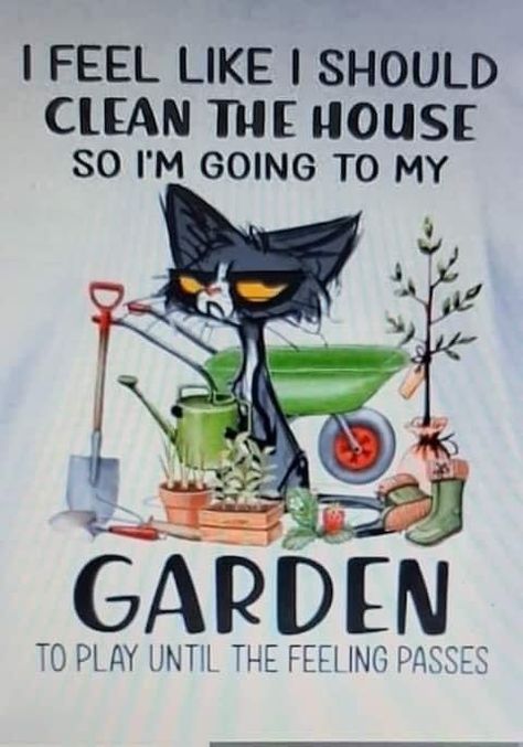 Funny Garden Signs Hilarious, Gardening Jokes, Garden Humor, Garden Quotes Signs, Funny Garden Signs, Cranky Cat, Funny Gardening, Gardening Humor, God's Heart