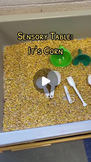 Preschool Vibes on Instagram: "Dive into sensory play with our corn-filled table! 🌽✨ Our preschoolers love exploring textures and practicing their scooping and pouring skills using measuring cups, spoons, and funnels. This hands-on activity is not only fun but great for developing fine motor skills and understanding measurements. Watch as they dig in and discover through play!" Preschool Vibes, Sensory Table, Sensory Play, Hands On Activities, Measuring Cups, Fine Motor Skills, Fine Motor, Motor Skills, Spoons