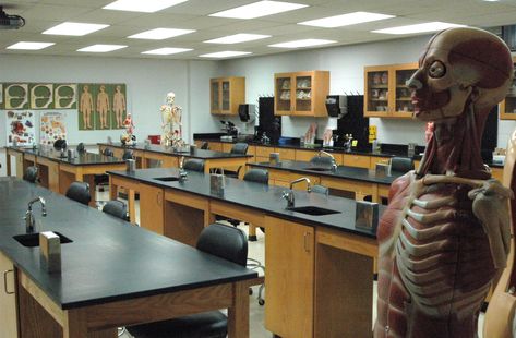 Laboratory Classroom, Biology Room Aesthetic, Medical Classroom, Biology Classroom Aesthetic, Chemistry Lab, Biology Lab Aesthetic, School Science Lab, School Science Lab Design, School Biology Lab Design