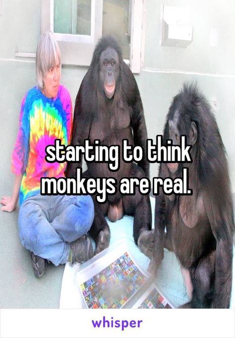 Whisper App, Fb Memes, Lose My Mind, Funny Me, Funny Laugh, Monkeys, Reaction Pictures, Mood Pics, Funny Images