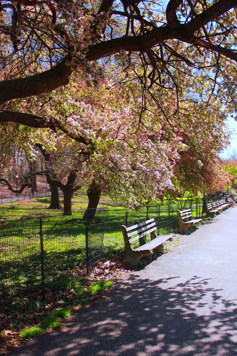 Riverside Park in NYC. Riverside Park Nyc, Riverside Park, Nyc Park, Nyc Life, New York Life, City That Never Sleeps, Concrete Jungle, I ❤ Ny, City Photography