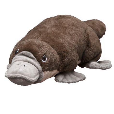 Platypus Plush, Cute Platypus, Duck Billed Platypus, Conservation Activities, Duck Bill, Adoption Certificate, Egg Laying, Dinosaur Fossils, Platypus