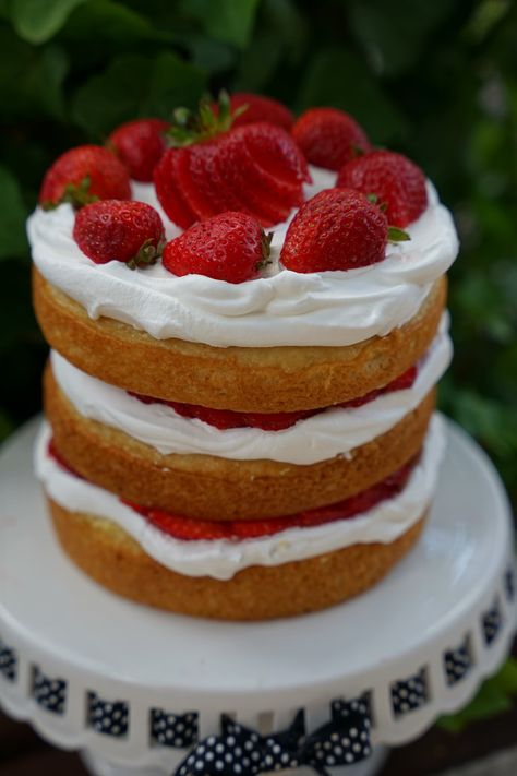 Strawberry Shortcake Dairy Free, Dairy Free Birthday Dessert, Dairy Free Strawberry Shortcake, Creative Deserts, Strawberry Shortcake Birthday Cake, Vegan Strawberry Shortcake, Jasons Deli, Free Birthday Food, Birthday Extravaganza