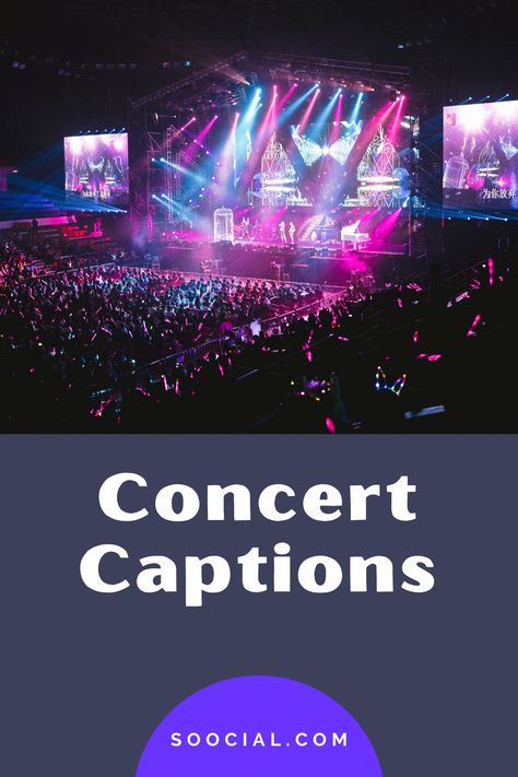 Concert Quotes, Video Caption, Music Fest, Live Concert, Instagram Captions, Live Music, Music Festival, Media Marketing, Everyday Life