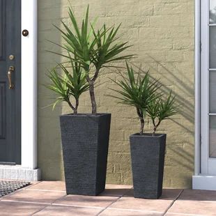 Fall Potted Plants, Shade Plants Container, Full Sun Container Plants, Fall Container Plants, Fall Pots, California Room, Fall Container Gardens, Porch Plants, Fall Containers