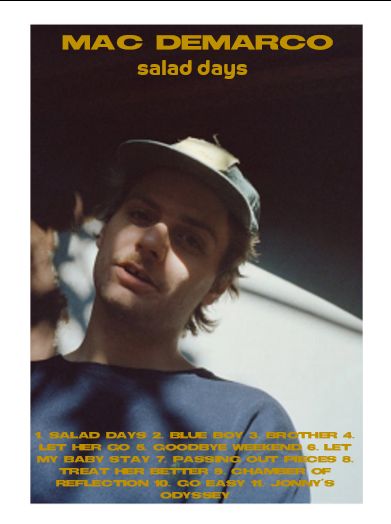 Living Room Posters, Posters Bedroom, Mac Demarco, Bedroom Painting, Canvas Wall Art Living Room, Living Room Poster, Painting Canvas Wall, Album Cover Poster, Music Poster Design