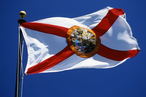 Florida State Flag Florida State Flag, Us States Flags, Florida Flag, Flag Store, Flying High, U.s. States, State Of Florida, Sunshine State, State Flags