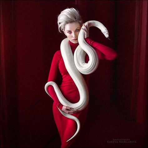 Reptile Photoshoot, Snake Photoshoot, Snake Artwork, Snake Photos, Snake Girl, Gordon Parks, Magic Women, Beautiful Snakes, Snake Art