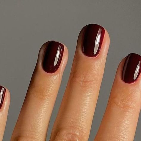 woman&home on Instagram: "From autumns most beloved nail colour, hello burgundy, to fudge-toned brown, these are the manicures we've been loving lately.

Whether you opt for a traditional autumn nail colour such as a warm plum, or make a statement with tortoiseshell nail art, these nail ideas are sure to turn heads this season. 

Images via @gel.bymegan & @matejanova

#autumnnails #fallnails #burgundynails #nailart" Plum Brown Nails, Brown Purple Nails, Warm Autumn Nails, Burgundy Autumn Nails, Purple Brown Nails, Plum Gel Nails, Reddish Brown Nails, Warm Tone Nails, Autumn Nail Colours