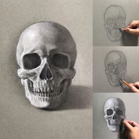 Another rainy day, another skull study. General white chalk and charcoal pencils on Strathmore 400 series, steel gray color paper. #drawing… Charcoal On Grey Paper, Drawing On Gray Paper, Gray Toned Paper Drawing, Gray Paper Drawing, Grey Paper Drawing, Toned Paper Drawing, Relationships Art, White Charcoal Drawing, Cuong Nguyen