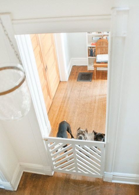 25 DIY Indoor Dog Gate and Pet Barrier Ideas to keep your dogs all in one place. Everything from budget friendly to farmhouse style dog doors. Learn how to build your own in minutes. Dog Gate Indoor, Indoor Gates, Diy Dog Gate, Diy Baby Gate, Dog Gates, Pet Barrier, Cozy Spaces, Baby Gates, Gorgeous Houses