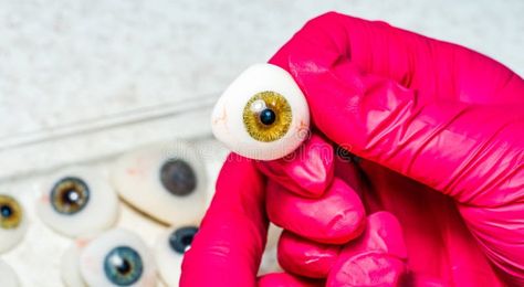 Ophthalmologist or surgeon holds an eye, eyeball prosthesis in hands royalty free stock image Stock Images Free, Royalty, Hold On, Photo Image, Royalty Free, Stock Images, Stock Photos