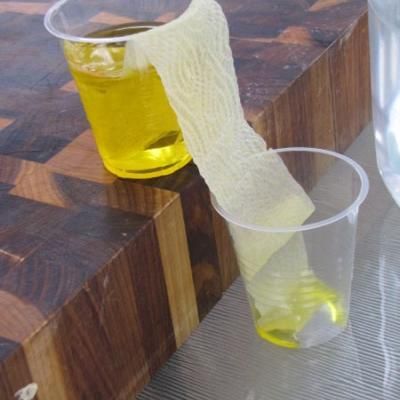 Walking Water Science Experiment {Science Projects} Not that I am a science teacher, but this looks pretty cool. Vetenskapliga Experiment, Water Science Experiments, Science Experience, Walking Water, Kid Science, Kid Experiments, Summer Crafts For Kids, Kindergarten Science, E Mc2