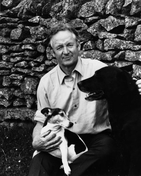 ‘All Creatures Great and Small’: Who Was the Real James Herriot? - The New York Times The Yorkshire Vet, Rachel Shenton, Big Fluffy Dogs, James Herriot, Veterinary School, Wanted Ads, Classic Television, People Of Interest, Yorkshire Dales