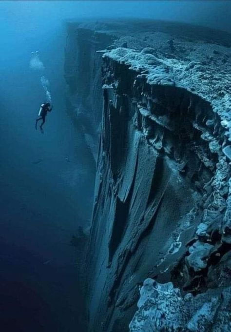 Ocean Trench, Deep Sea Diving, Marianas Trench, Deep Blue Sea, Underwater Photography, Ocean Photography, Underwater World, Ocean Life, Deep Sea