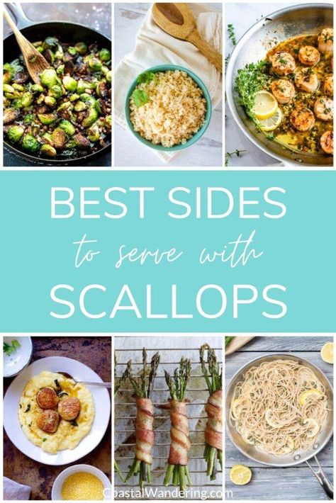 Scallops And Pasta Healthy, What To Pair With Scallops, Scallop Sides Dishes, Scallop Dishes Dinners, What To Make With Scallops, Keto Scallops Recipes, What To Eat With Scallops, Meals With Scallops, Sides With Scallops