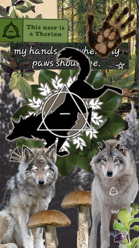 grey wolf therian #therian #nature Therian Wolf, Cat Mask Diy, Wolf Therian, Brandon Rogers, Wolf Wallpaper, Mask Diy, Cat Mask, Grey Wolf, Ibis Paint