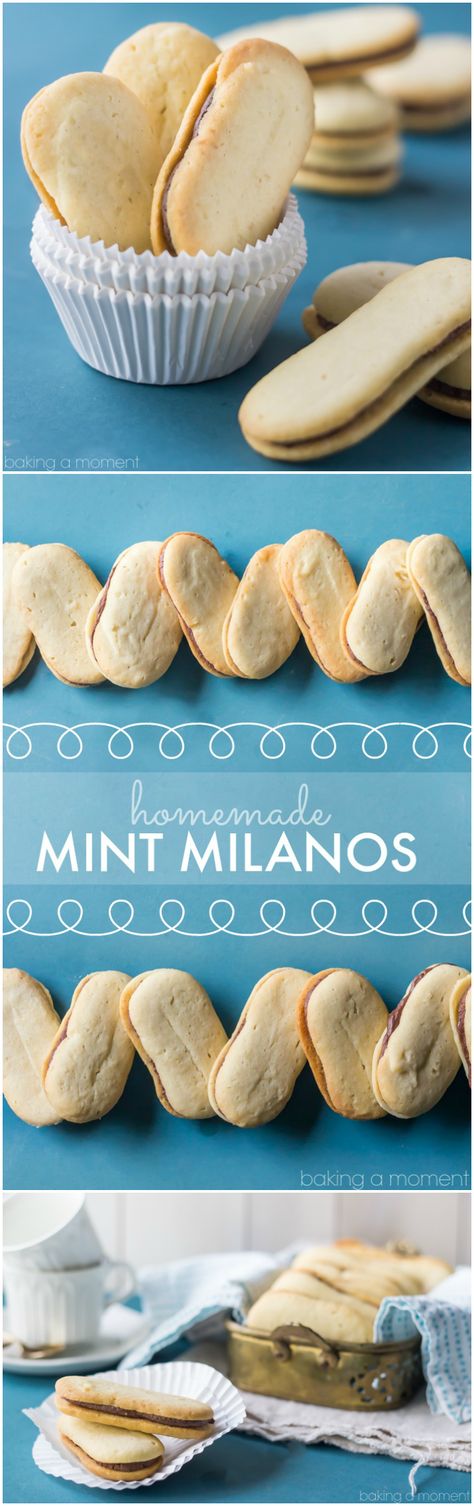 Homemade Mint Milanos- these were just like the store-bought kind only WAY BETTER!!! Store Bought Cookies, Whipped Chocolate Ganache, Milano Cookies, Happy Monday Morning, Ganache Filling, Chocolate Ganache Filling, Cookie Brownie Bars, Chocolate Mint, Butter Cookie