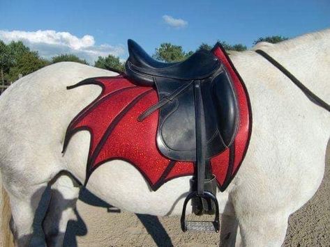 Horse Halloween Costumes, Horse Saddle Pads, Horse Costumes, Horse Armor, Horse Fashion, Horse Equipment, Horse Gear, Horse Accessories, Horse Diy