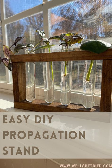 DIY Easy Propagation Stand Diy Propagation Station, Diy Propagation, Minwax Dark Walnut, Propagation Station, Cozy Reading Corners, Small Glasses, Diy Pins, Dark Walnut Stain, Painted Boards