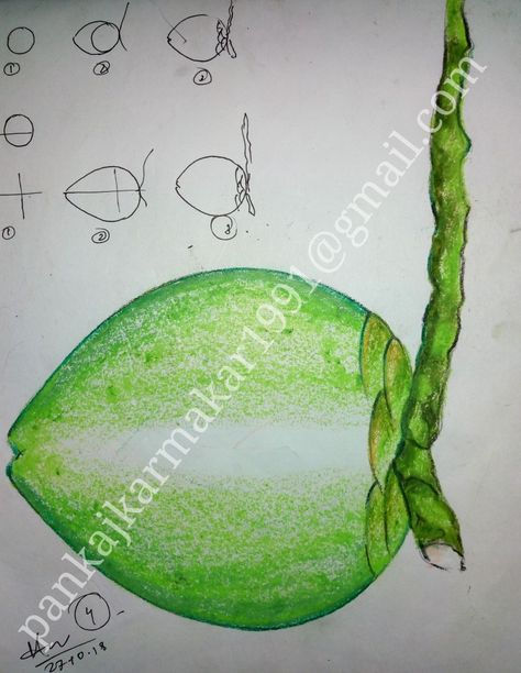 Easy green coconut painting with oil pastel by Pankaj karmakar Drawing Ideas Green, Coconut Drawing, Coconut Painting, Easy Painting For Kids, Students Drawing, Scenery Drawing For Kids, Oil Pastel Techniques, Couples Doodles, Fruit Coloring