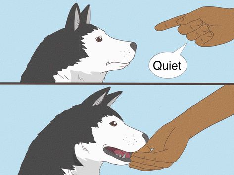 Your dog won't be reciting Shakespeare anytime soon, but teaching a dog to bark on command is actually one of the easiest tricks to teach. Barking is a natural behavior for a dog, so they should pick up on this one in no time. Teaching a... Train Your Dog, Training Your Dog, Simple Tricks, To Speak, No Time, A Dog, Pick Up, Dogs, Nature