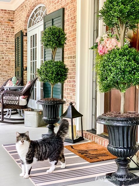 Best Faux Plants for the Front Porch! - Girl Who Travels the World Porch Topiary Ideas, Front Porch Topiary, Front Porch Topiary Ideas, Porch Topiary, Diy Topiaries, Exterior Plants, Porch Urns, Topiary Ideas, Curbside Appeal