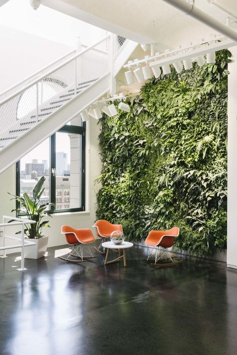 The space is flooded with natural light and includes gram-ready backdrops like this living green wall. Office Stairs, Gehry Architecture, Living Green Wall, Green Wall Design, Indoor Greenery, New York Office, Instagram New York, Green Office, Corporate Interiors