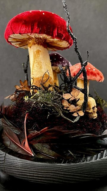 Velvet Mushrooms, Dm Screen, Specimen Collection, Mushroom Plant, Tiny Mushroom, Mushroom Crafts, Mushroom Fairy, Halloween Garden, Childrens Table