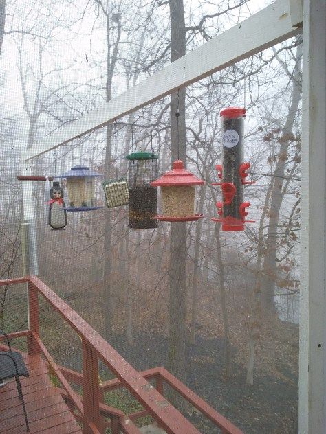 A plethora of wild birds have found my feeders! This summer, I originally had the feeders hanging on brackets from the deck railing - but the racoons and squirrels were having a field day climbing ... Railing Bird Feeder, Deck Rail Bird Feeder, Deck Bird Feeder Ideas, Bird Of Paradise Pose, Bird Feeder Station, Large Bird Feeders, Backyard Birds Sanctuary, Backyard Birds Feeders, Bird Ideas