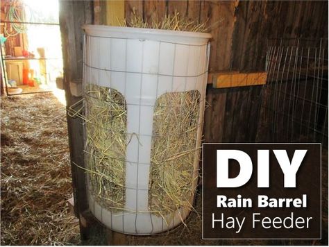 DIY Rain Barrel Hay Feeder - for goats, sheep, cows etc... #diy #goats #homestead #homesteading Goat Grain Feeder, Diy Hay Feeder, Sheep Feeders, Goat Hay Feeder, Goat Feeder, Horse Feeder, Goat Toys, Goat Shelter, Goat Pen