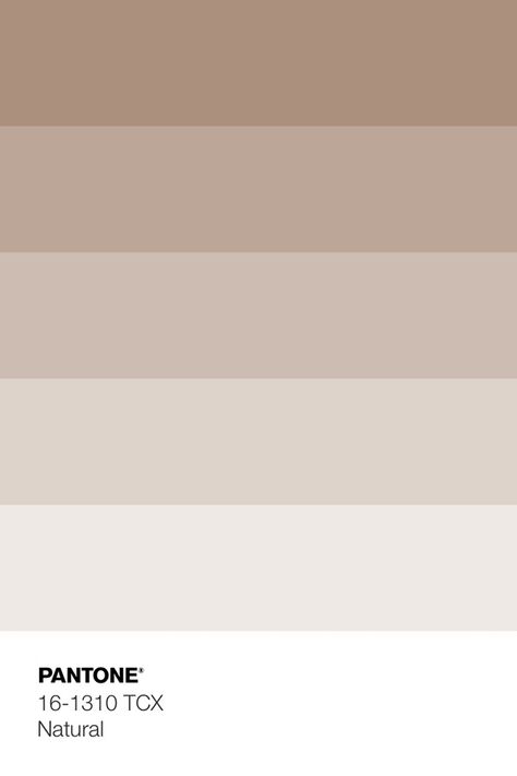 Pantone Metallic Shimmers, Nude Color Palette, Pantone Palette, Beige Color Palette, Color Pantone, Weathered Teak, Pantone Colour Palettes, Fall Color Palette, Color Palette Design