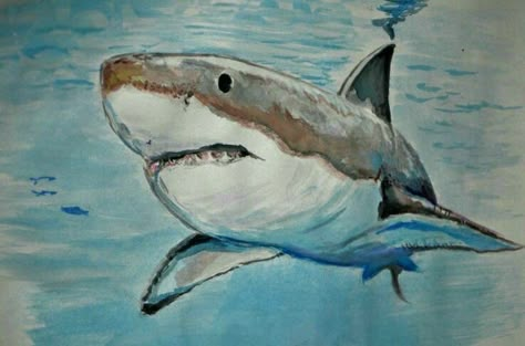 Shark Drawing Color Pencil, Shark Oil Pastel, Shark Drawing Color, Watercolour Shark, Cool Widgets, Doodle For Google, Shark Watercolor, Shark Painting, Movie Illustration