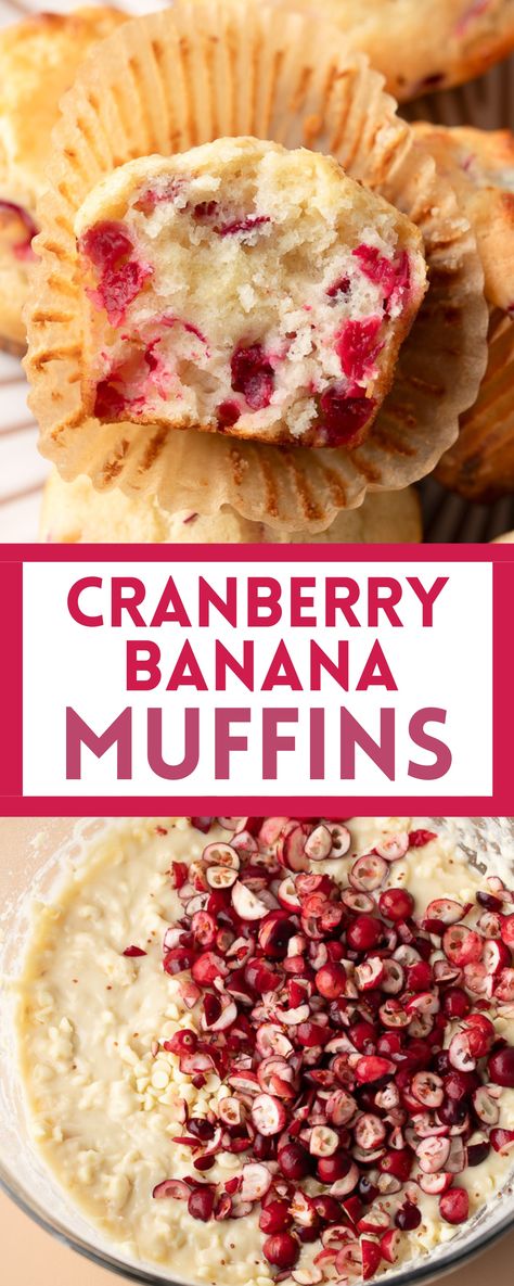 muffins with banana, cranberries, and white chocolate chips Fresh Cranberry Breakfast Recipes, Apple Cranberry Muffins Recipes, Cranberry Bran Muffins, Christmas Banana Recipes, Cranberry Muffins With Fresh Cranberries, Recipes Using Dried Cranberries, Recipes Using Cranberries, What To Do With Cranberries, Healthy Cranberry Recipes