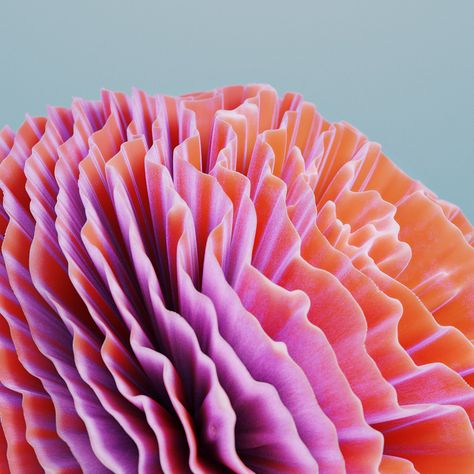 3D artist @GioakG's coral-inspired explorations in generative design — see more artistic renders > https://on.be.net/3ql50Rg 3d Cinema, 3d Blender, Generative Design, Neon Aesthetic, Neon Coral, 3d Artwork, Art Practice, Blender 3d, Sculpture Installation