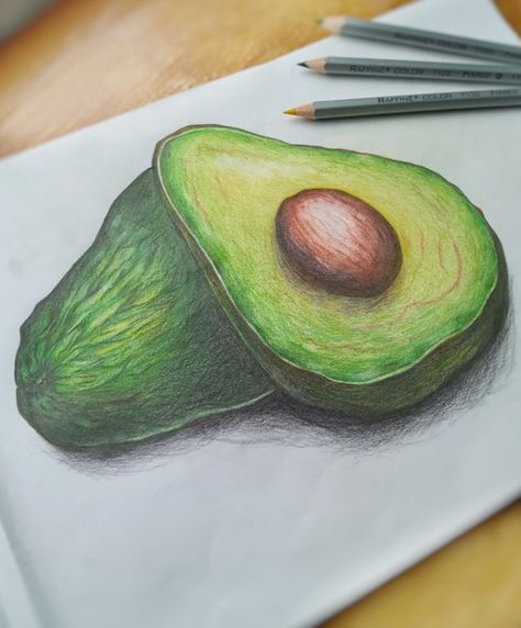 Avocado Sketch, Avocado Drawing, Drawing Pfp, Color Pencil Art, Color Pencil Drawing, Color Pencil, Art Inspiration Painting, Realistic Drawings, Eye Makeup Tutorial