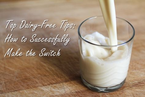 Top 12 Dairy-Free Tips: How to Successfully Make the Switch Go Dairy Free, Milk Substitute, Milk Allergy, Lactose Free Diet, Dairy Free Alternatives, Dairy Free Diet, Desserts Vegan, Diet Breakfast, Cat Treat Recipes