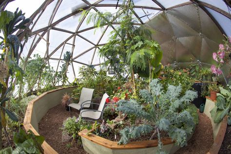 Growing Dome, Geodesic Greenhouse, Passive Solar Greenhouse, Geodesic Dome Greenhouse, Pagosa Springs Colorado, Solar Greenhouse, Tropical Greenhouses, Dome Greenhouse, Winter Greenhouse