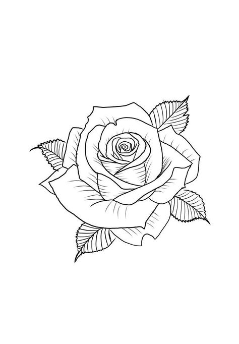 Rose Hand Tattoo Outline, Rose Tattoo Men Stencil, Traditional Rose Tattoo Stencil, Rose Hand Tattoo Stencil, Rose Tattoo Design Sketches, Rose Tattoo Design Outline, Rose Tattoo Outline Drawing, Rose Tattoo Stencil Outline, Roses Tattoo Stencil