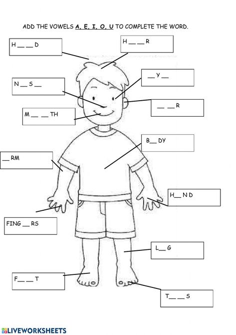 Activity For Grade 1, French Body Parts, Body Parts In Spanish, Body Parts For Kids, Human Body Worksheets, Worksheets For Class 1, Human Body Activities, English Activities For Kids, English Exercises