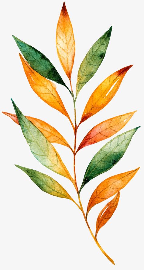 Different Leaves Painting, Leaf Art Watercolor, Beautiful Leaves Drawing, Leaves Drawing Watercolor, Flowers For Printing, Botanical Watercolor Leaves, Watercolor Leaves Painting, Leafs Watercolor, Leafs Drawings