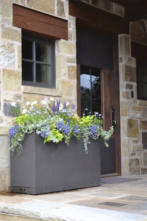 Metal Flower Box, Front Porch Rectangle Planter Ideas, Long Planter Boxes Front Of House, Rectangle Planter Ideas, Square Planter Ideas, Rectangular Planter Box Ideas, Large Planter Ideas, Chakra Garden, Long Planter Boxes