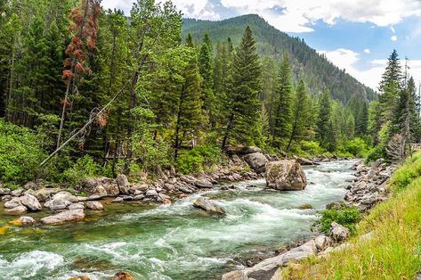 The 17+ BEST Things to Do in Bozeman, Montana Bozeman Hot Springs, Montana Summer, Travel 2024, Grizzly Bears, The Great Fire, Bozeman Mt, Bozeman Montana, Whitewater Rafting, Beautiful Places In The World