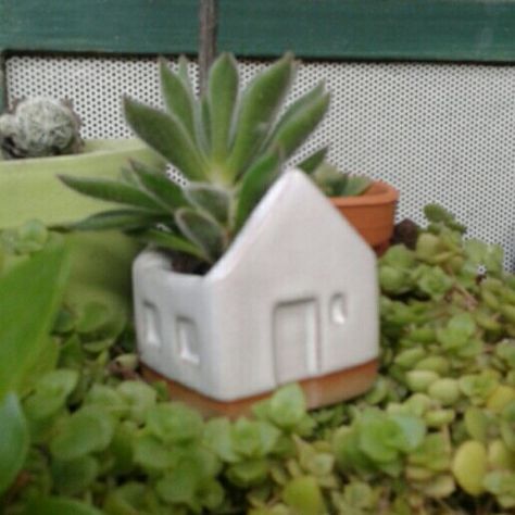 Pottery Houses, Plant Pots, Planter Pots